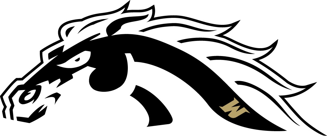 Western Michigan Broncos 2016-Pres Misc Logo 01 vinyl decal